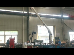 1.5t4m Offshore Pedestal Crane Stiff Boom Yacht Marine With IACS Certified